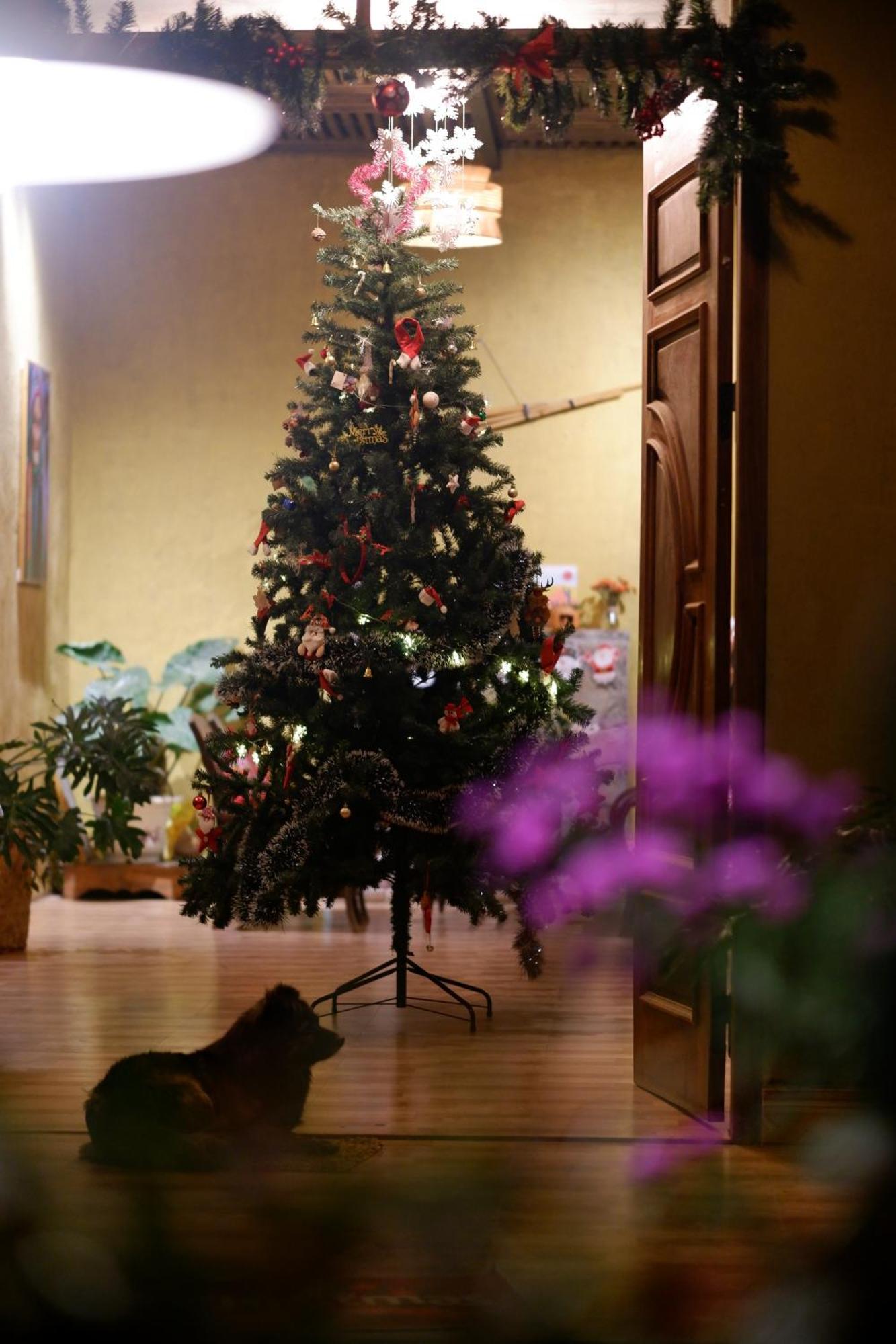 Maison De Hill Донгван